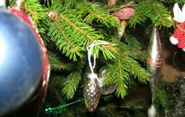 Wigilia - 14.12.2010 r.  25
