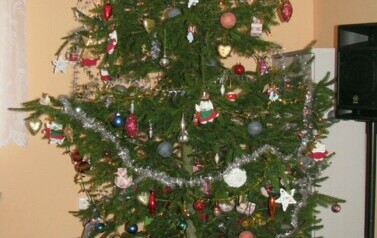 Wigilia - 14.12.2010 r.  28