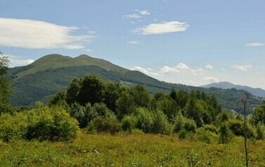 Kolonia Bieszczady - 09.07.2012 r. 34