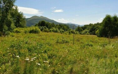 Kolonia Bieszczady - 09.07.2012 r. 35