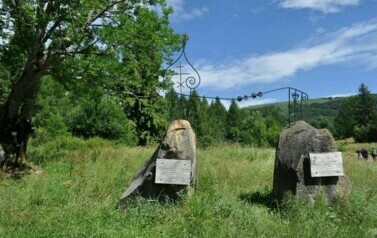 Kolonia Bieszczady - 09.07.2012 r. 41