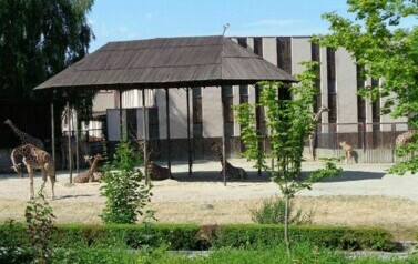 Kolonia w Sudetach - 24.07.2013 r. 49