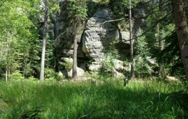 Kolonia w Sudetach - 24.07.2013 r. 55