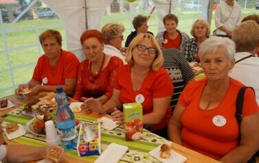 Senioriada III w Dygowie  - 11.06.2016 r. 41