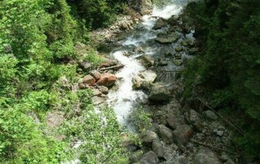 Biały Dunajec - 2008 r. 35