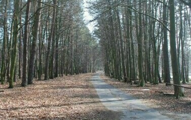 Gmina Rymań - 08.04.2010 r. 3