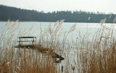 Gmina Rymań - 08.04.2010 r. 14