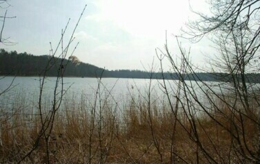 Gmina Rymań - 08.04.2010 r. 17