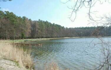 Gmina Rymań - 08.04.2010 r. 18