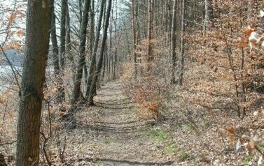 Gmina Rymań - 08.04.2010 r. 19