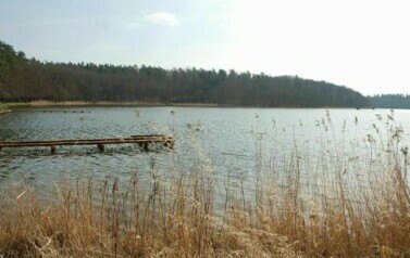 Gmina Rymań - 08.04.2010 r. 20