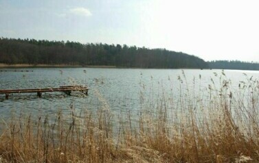 Gmina Rymań - 08.04.2010 r. 21