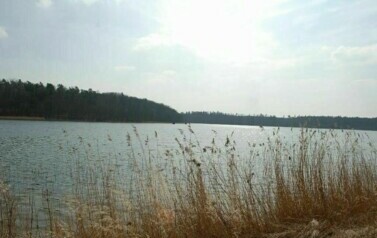 Gmina Rymań - 08.04.2010 r. 23