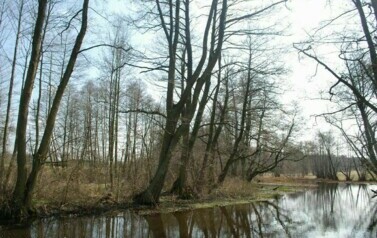 Gmina Rymań - 08.04.2010 r. 24